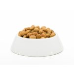 غذای خشک سگ جوسرا JOSI Dog Economy وزن 15 کیلوگرم