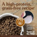 غذای خشک سگ تیست آف د وایلد با طعم گوشت غاز وحشی Taste Of The Wild Wetlands Canine Recipe Dog Food